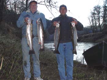 Great set of ALSEA RIVER STEELHEAD