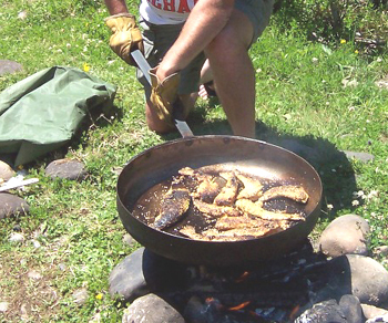 Fresh McKenzie River Trout... Streamside Fish Fry! 