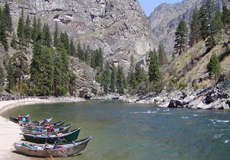 Elk Bar, Middle Fork of the Salmon River