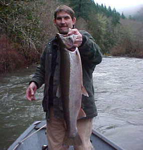 Siuslaw Steelhead. Caught by the UPS Guy. Jan 18th 2004. Thanks Paul!!